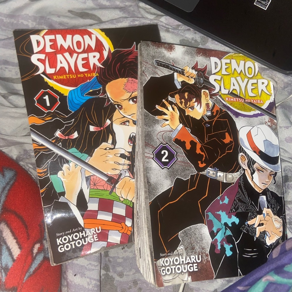 Demon Slayer Manga Volumes 1 and 2